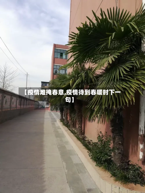 【疫情难掩春意,疫情待到春暖时下一句】