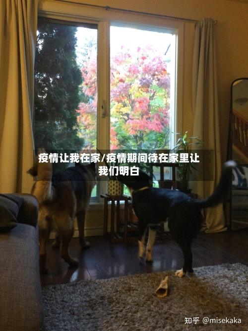 疫情让我在家/疫情期间待在家里让我们明白