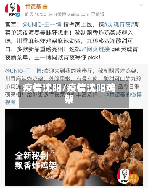 疫情沈阳/疫情沈阳鸡架