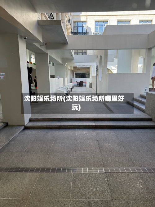 沈阳娱乐场所(沈阳娱乐场所哪里好玩)-第2张图片