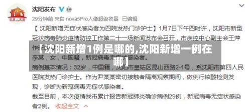 【沈阳新增1例是哪的,沈阳新增一例在哪】-第2张图片
