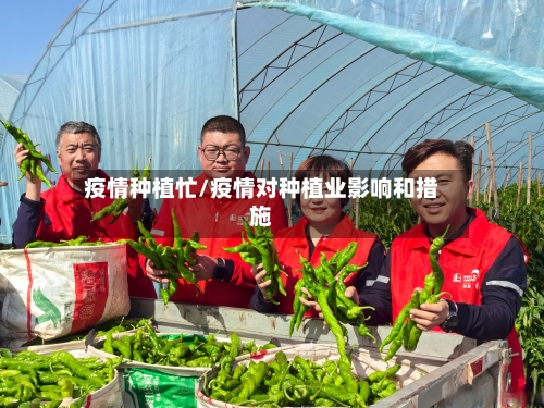 疫情种植忙/疫情对种植业影响和措施-第3张图片
