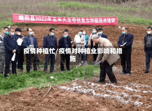 疫情种植忙/疫情对种植业影响和措施