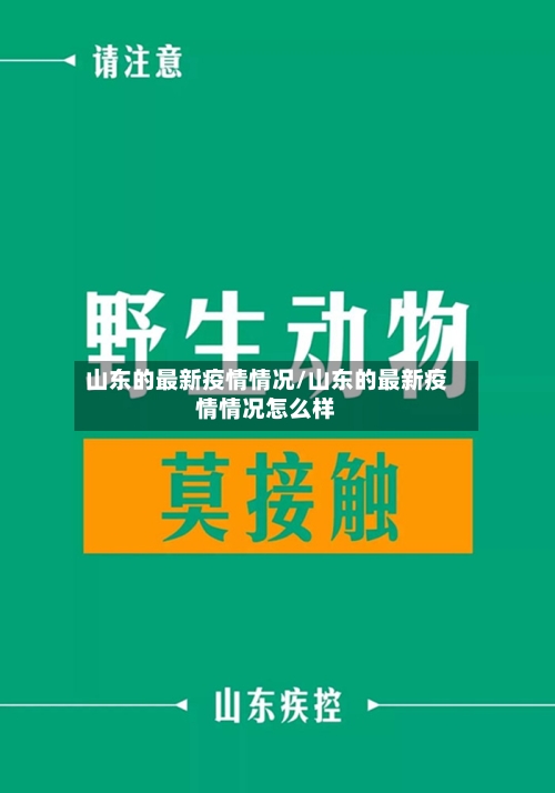 山东的最新疫情情况/山东的最新疫情情况怎么样