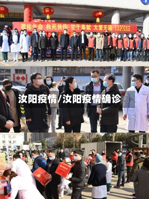 汝阳疫情/汝阳疫情确诊