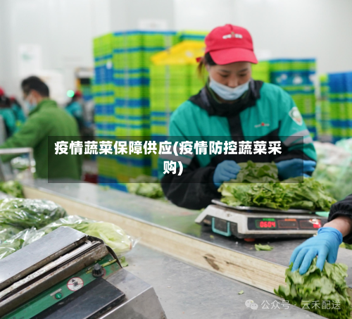 疫情蔬菜保障供应(疫情防控蔬菜采购)-第3张图片
