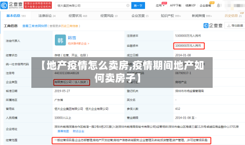 【地产疫情怎么卖房,疫情期间地产如何卖房子】-第2张图片