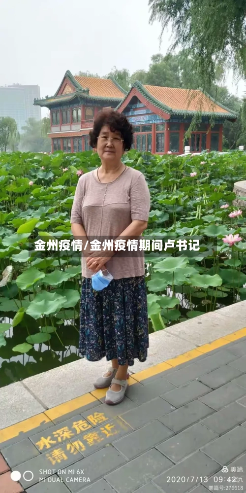 金州疫情/金州疫情期间卢书记-第3张图片