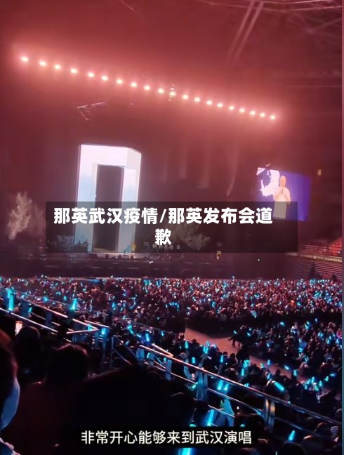 那英武汉疫情/那英发布会道歉-第2张图片