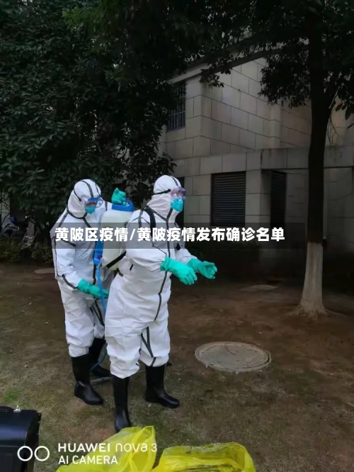 黄陂区疫情/黄陂疫情发布确诊名单