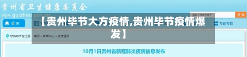 【贵州毕节大方疫情,贵州毕节疫情爆发】-第2张图片