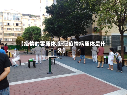 【疫情的零原体,新冠疫情病原体是什么】-第2张图片
