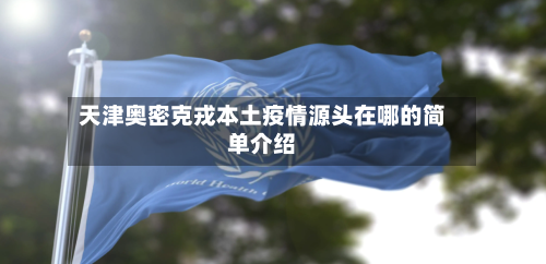 天津奥密克戎本土疫情源头在哪的简单介绍