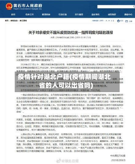 疫情针对湖北户籍(疫情期间湖北省的人可以出省吗)-第2张图片