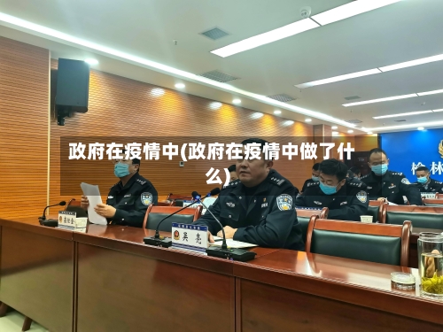 政府在疫情中(政府在疫情中做了什么)