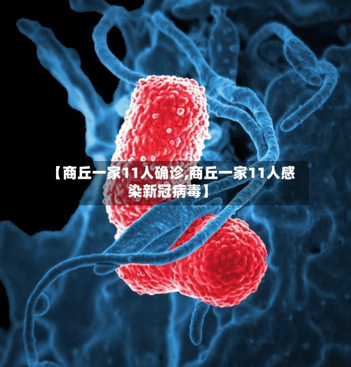 【商丘一家11人确诊,商丘一家11人感染新冠病毒】-第2张图片