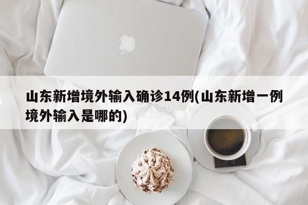 山东新增境外输入确诊14例(山东新增一例境外输入是哪的)