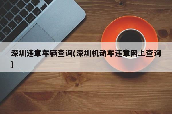 深圳违章车辆查询(深圳机动车违章网上查询)